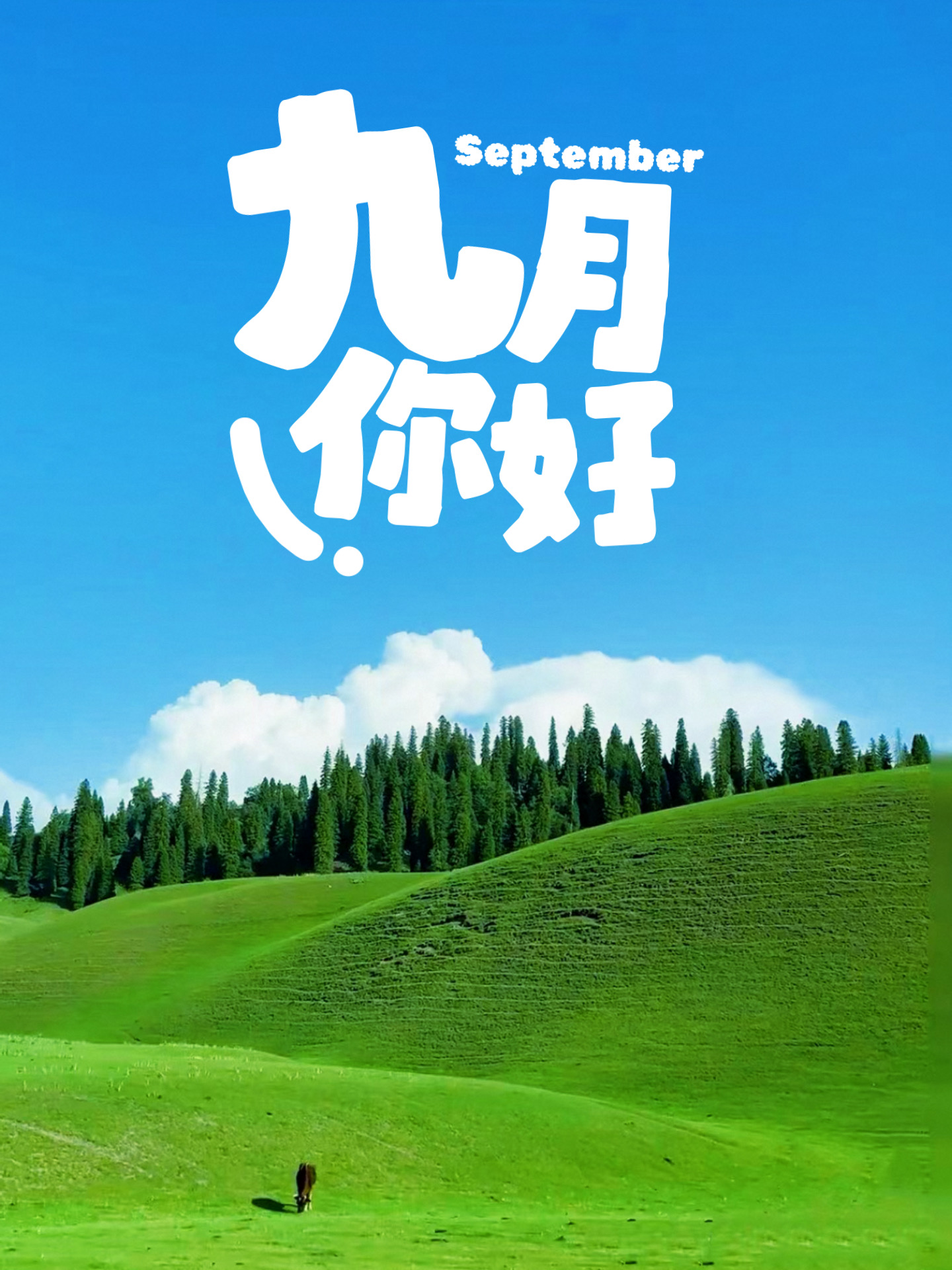 九月你好