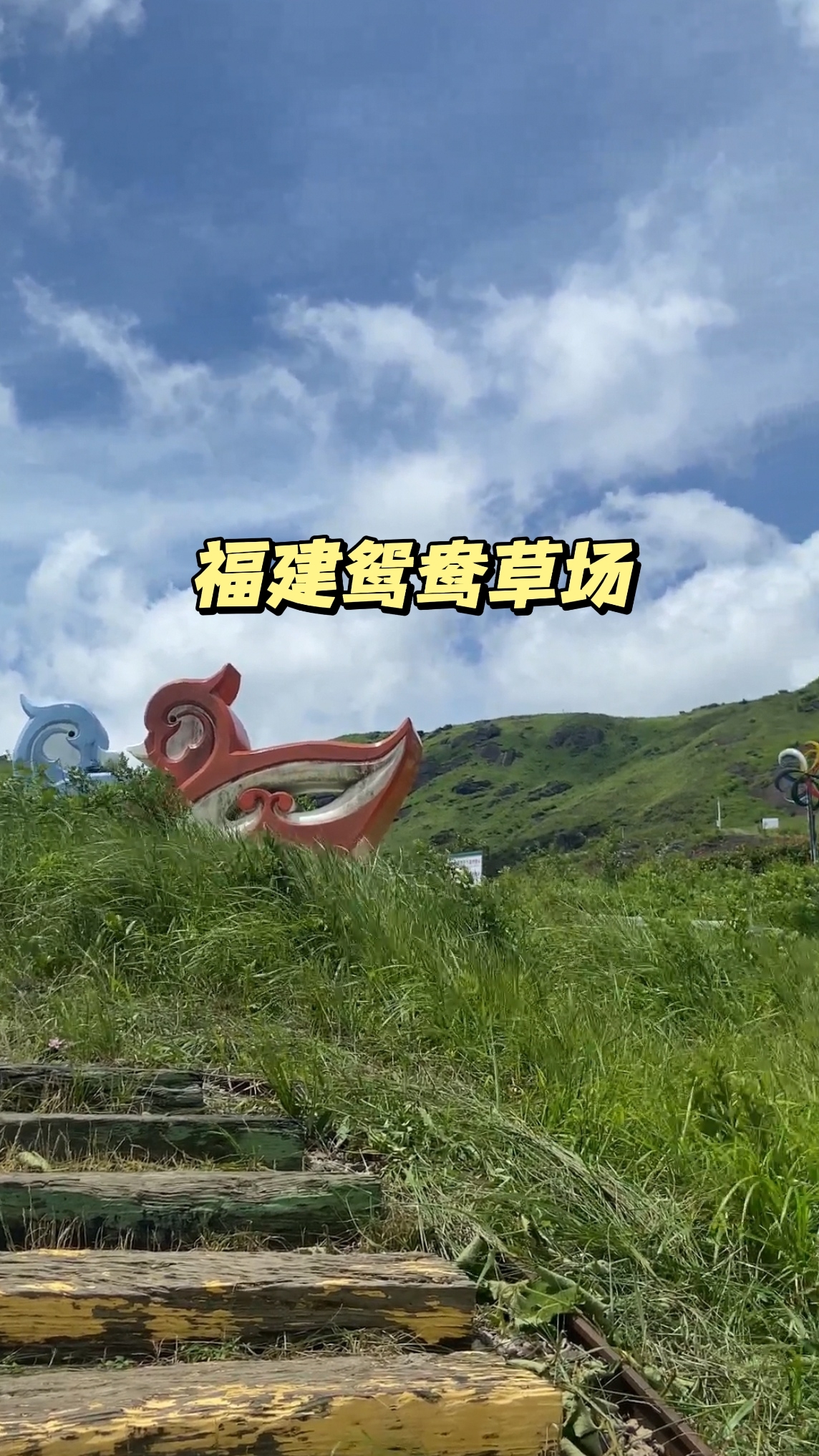 这片草场位于福建省境内,占地面积巨大,是整个省份最大的草地.