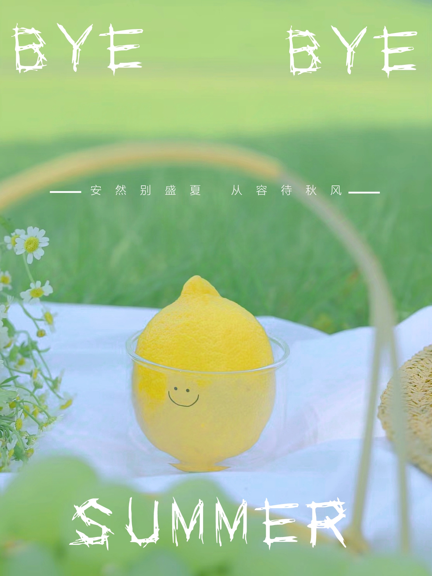 再见夏天