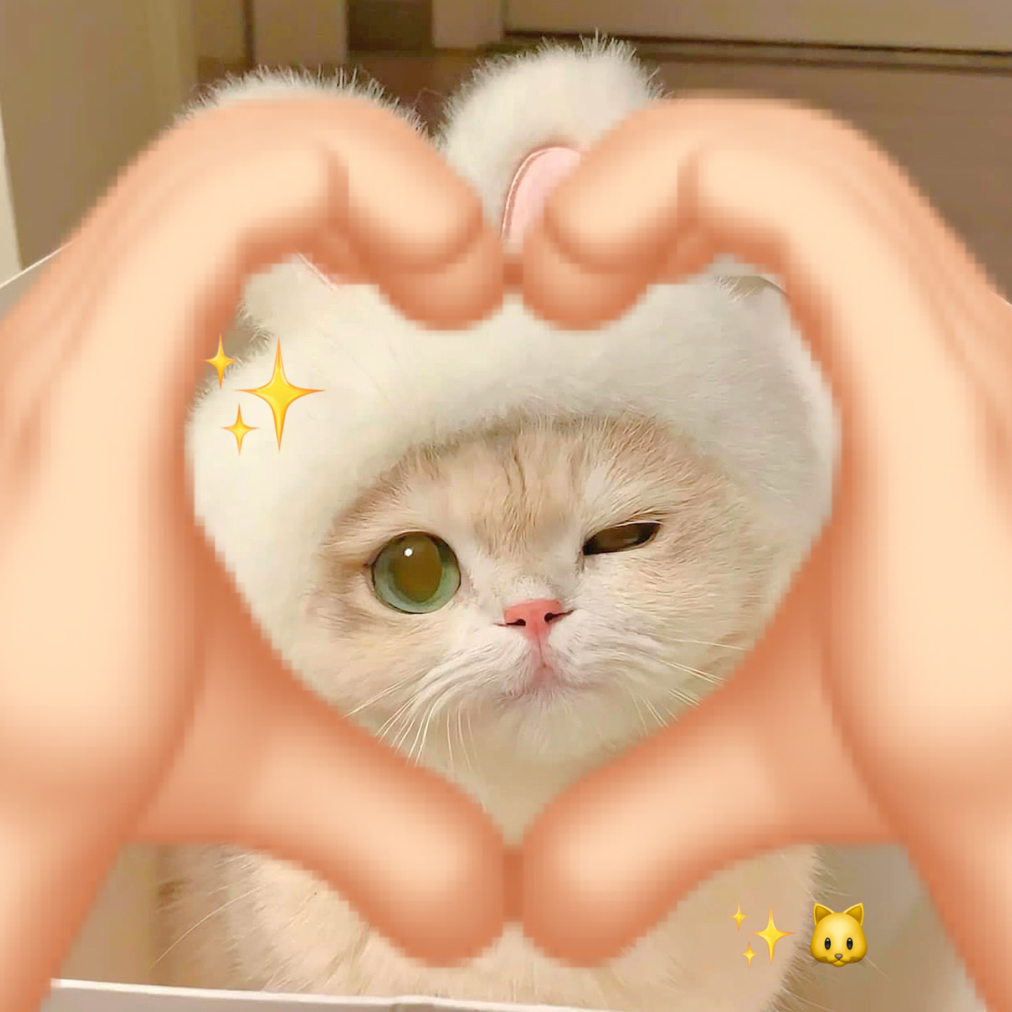 emoji萌宠比心玩法