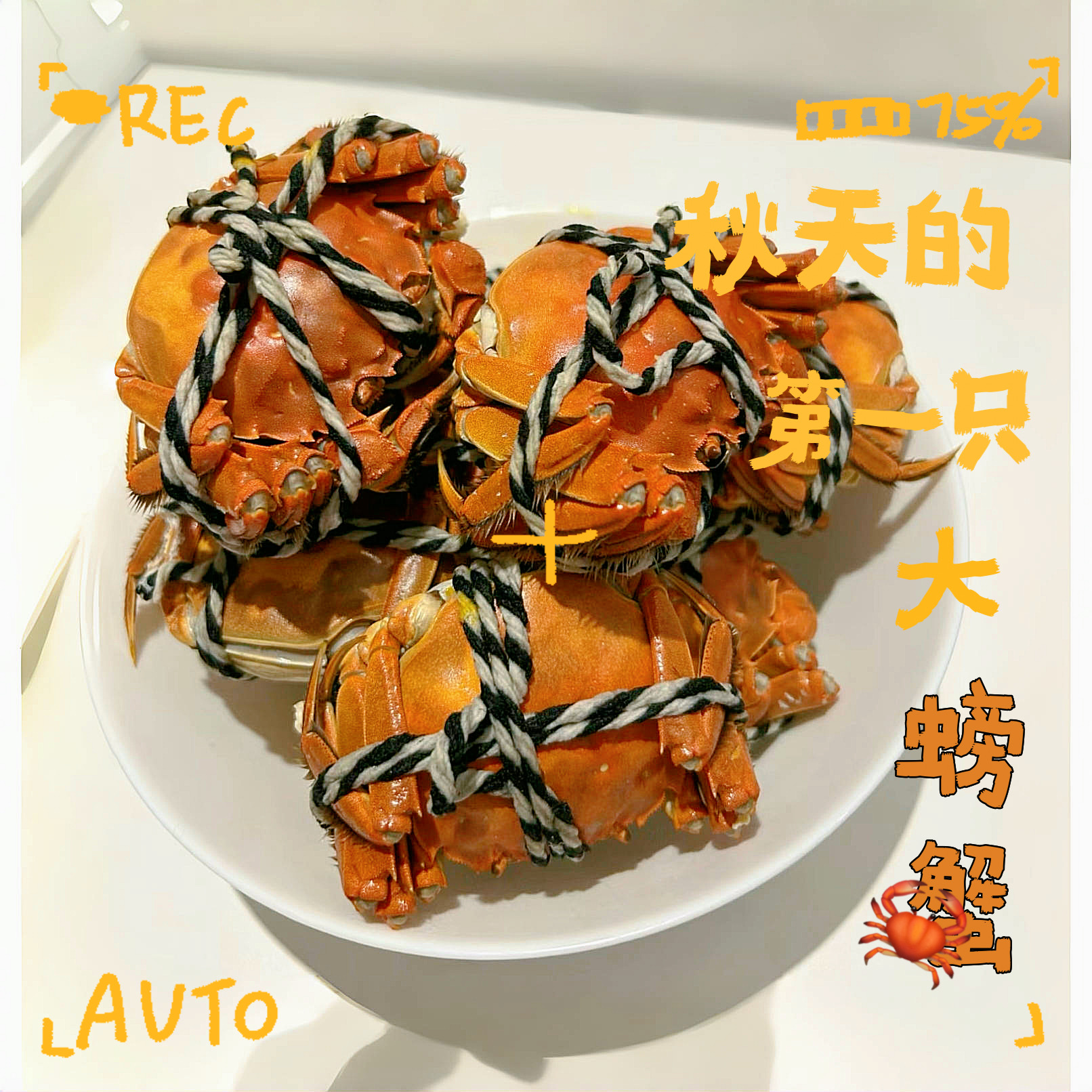 秋风起,蟹脚肥