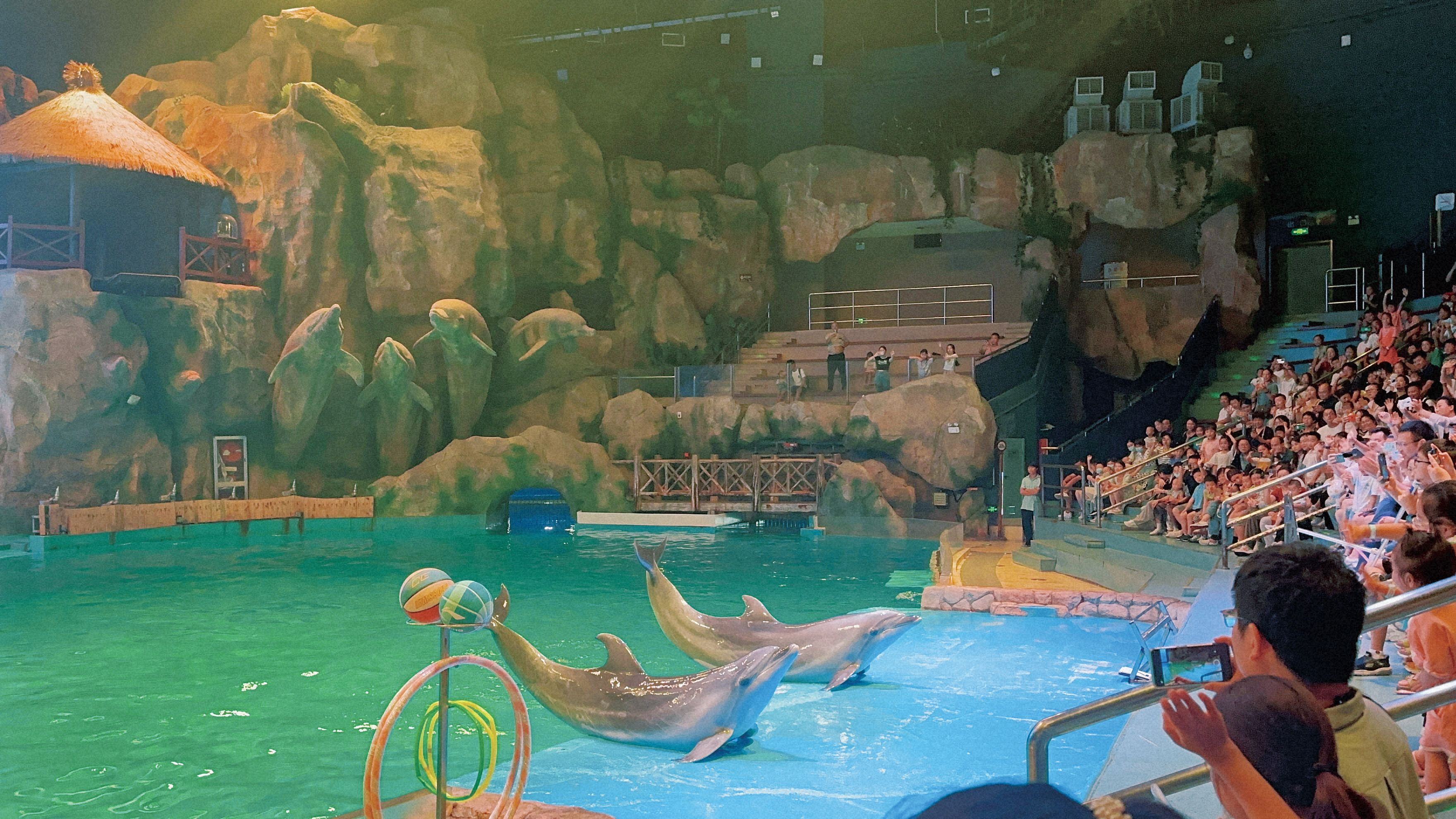 芜湖大白鲸海洋公园