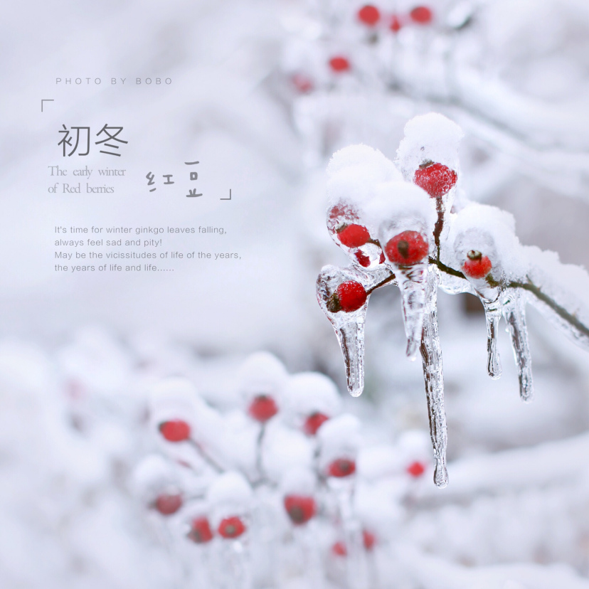 雪 文艺句子 雪花唯美文艺句子说说你的心情-牛句网