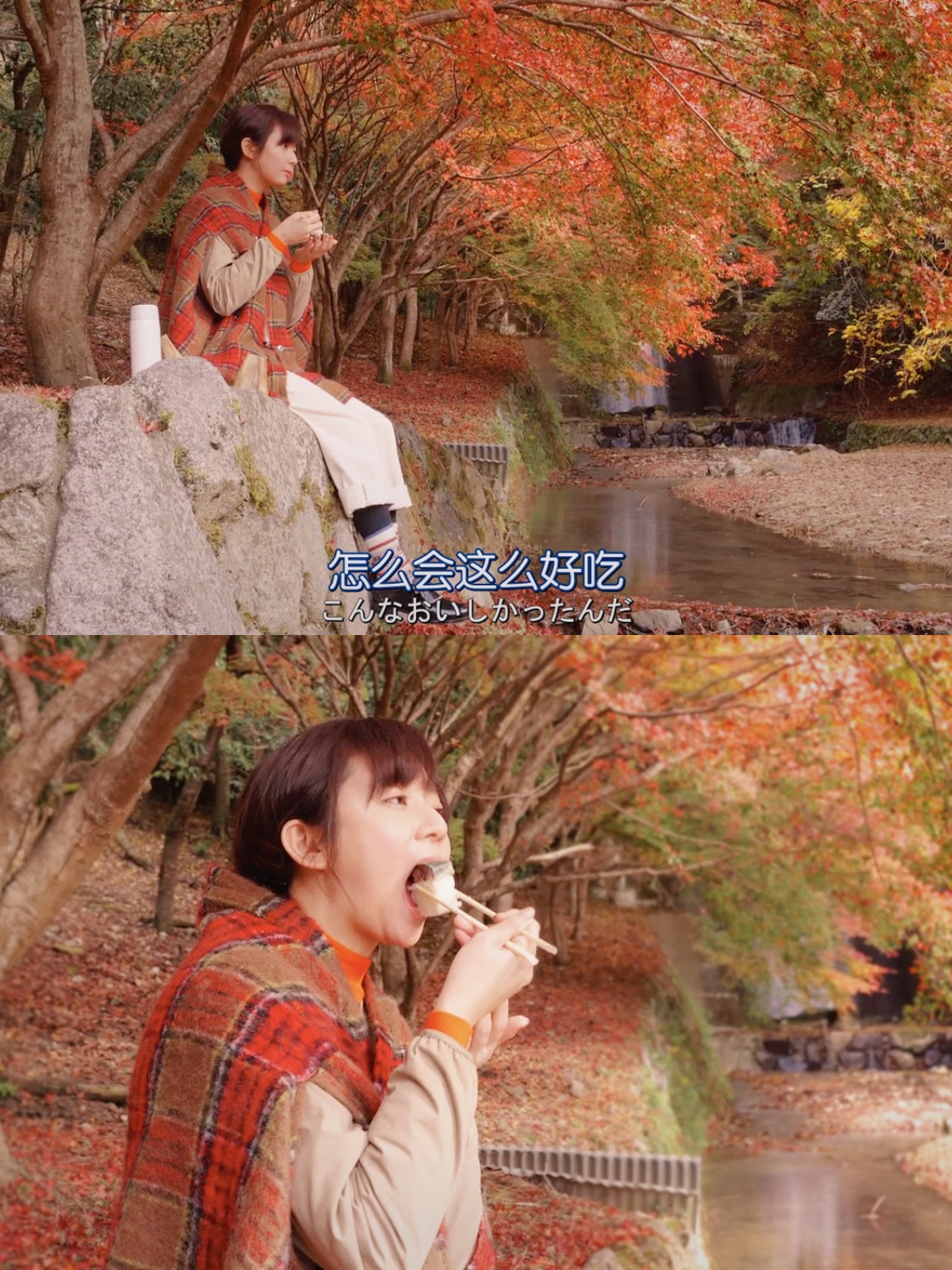 93这是什么宝藏电影6015治愈了我的精神内耗6015